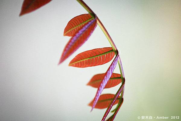 P20120229_D001 P20120229_D001
