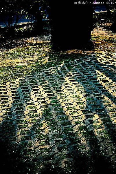 P20120312_B001 P20120312_B001