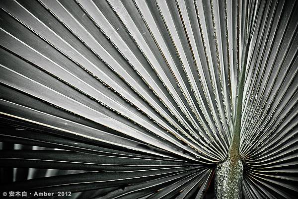 P20120312_C001 P20120312_C001