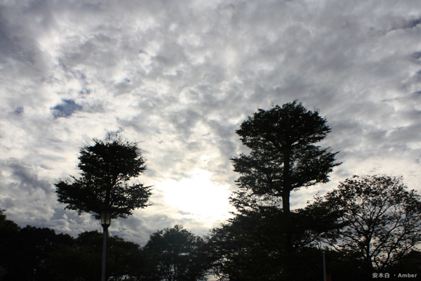 20101114_SKY001.jpg 20101114_SKY001.jpg