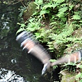 20100710_012.jpg