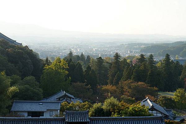 DSC03144-001