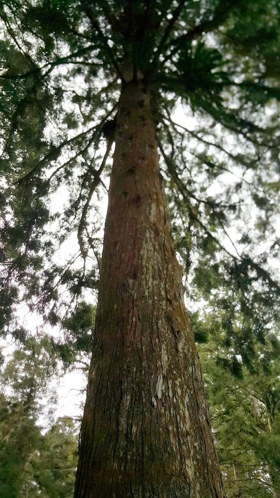 20160102_115238.jpg