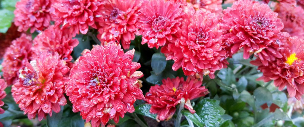 20160101_112709.jpg