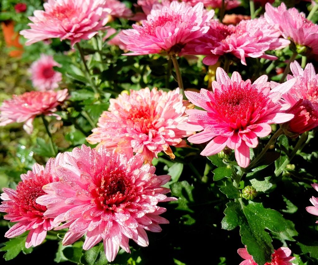 20160101_113025.jpg