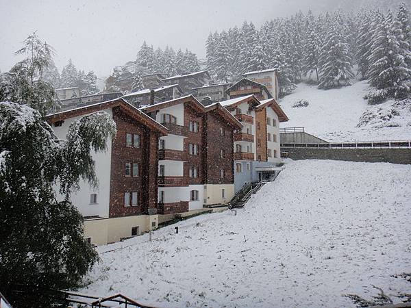 隔天早上居然連平地都下起雪來囉