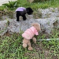 IMG_1159.JPG