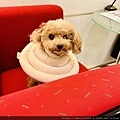 IMG_E6382.JPG