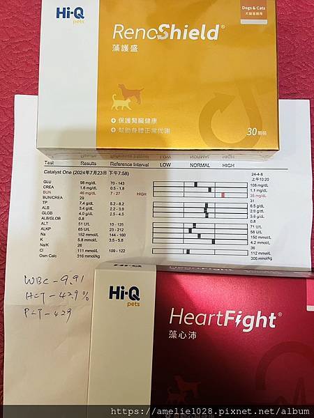 小由米滿17歲了，好好加油好嗎？