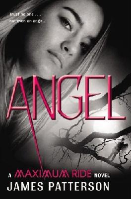 Angel (Maximum Ride, #7) 