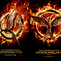 Hunger Games Series