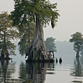 Where the Crawdads sing  (marsh girl).jpg