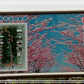 宜蘭員山《燈嵩林道》健行步道 宜蘭員山《燈嵩林道》健行步道
