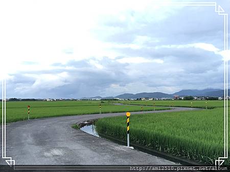 【遊】宜蘭冬山《伯朗大道》