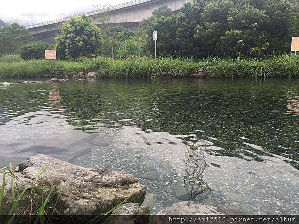 【遊】宜蘭東澳《東岳湧泉》