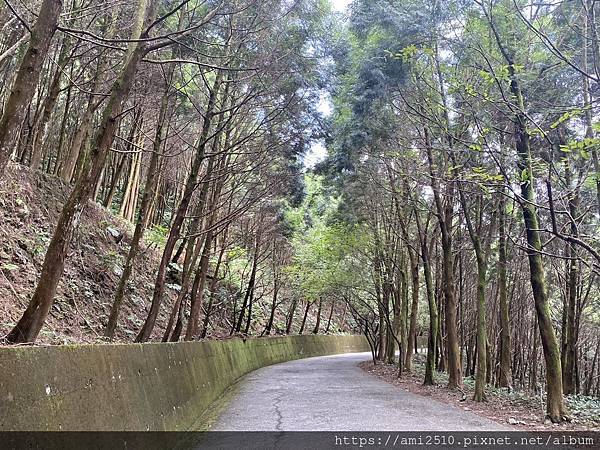 【遊】宜蘭員山步道《肖楠步道》崩山湖健康生活◆新進初階者步道