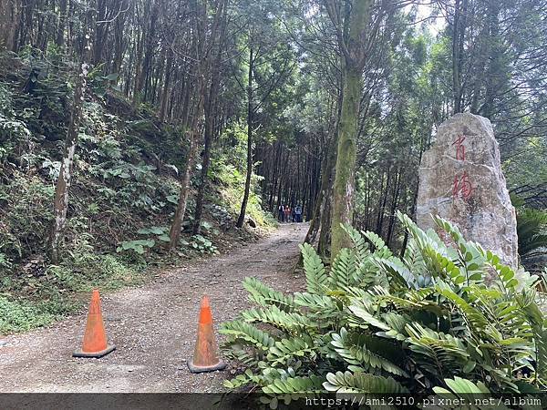 【遊】宜蘭員山步道《肖楠步道》崩山湖健康生活◆新進初階者步道