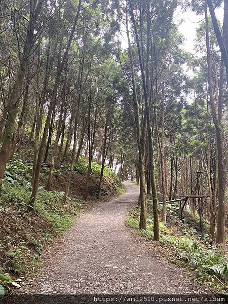 【遊】宜蘭員山步道《肖楠步道》崩山湖健康生活◆新進初階者步道