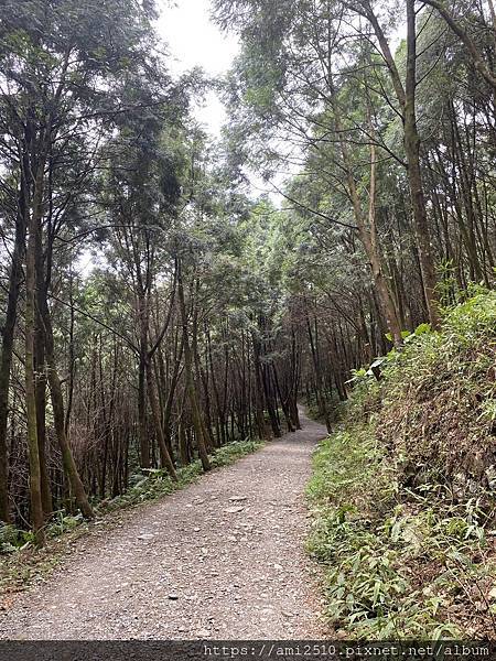 【遊】宜蘭員山步道《肖楠步道》崩山湖健康生活◆新進初階者步道