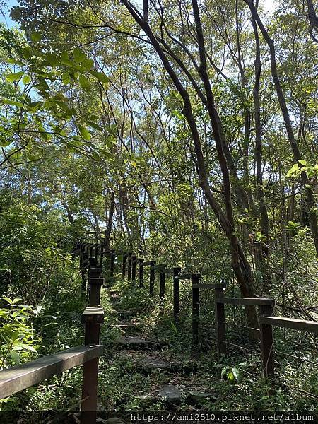 【遊】宜蘭冬山步道《茅埔城古道》健康生活◆新進初階者多階梯步