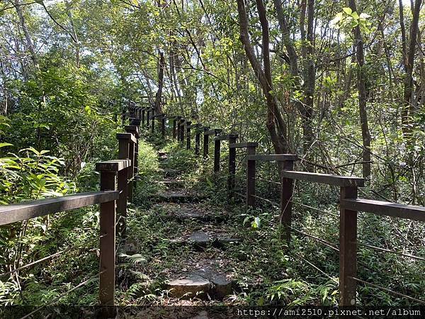 【遊】宜蘭冬山步道《茅埔城古道》健康生活◆新進初階者多階梯步