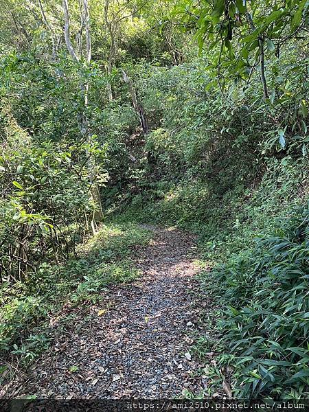 【遊】宜蘭冬山步道《茅埔城古道》健康生活◆新進初階者多階梯步