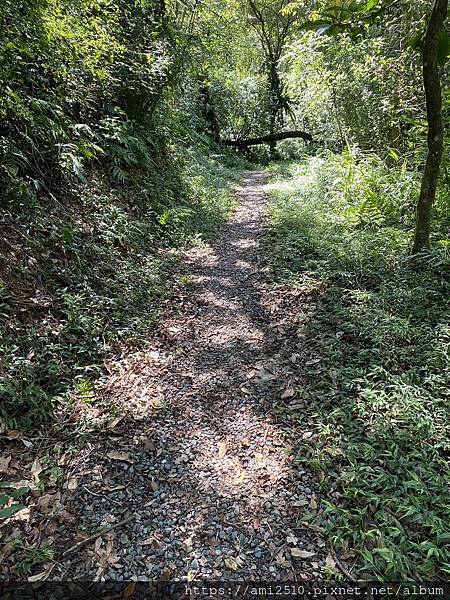 【遊】宜蘭冬山步道《茅埔城古道》健康生活◆新進初階者多階梯步