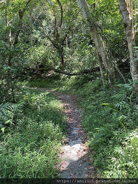 【遊】宜蘭冬山步道《茅埔城古道》健康生活◆新進初階者多階梯步