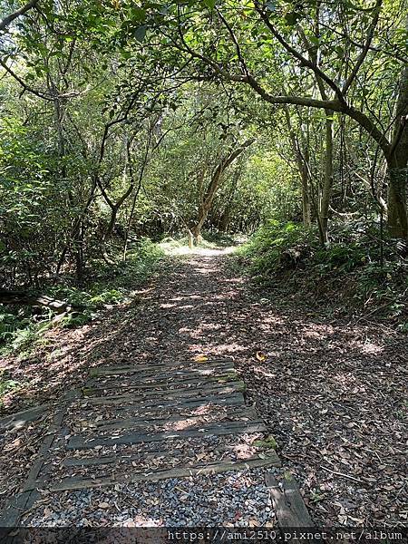 【遊】宜蘭冬山步道《茅埔城古道》健康生活◆新進初階者多階梯步