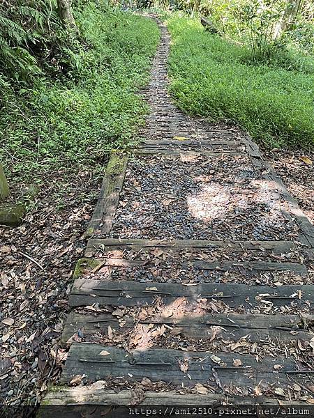 【遊】宜蘭冬山步道《茅埔城古道》健康生活◆新進初階者多階梯步