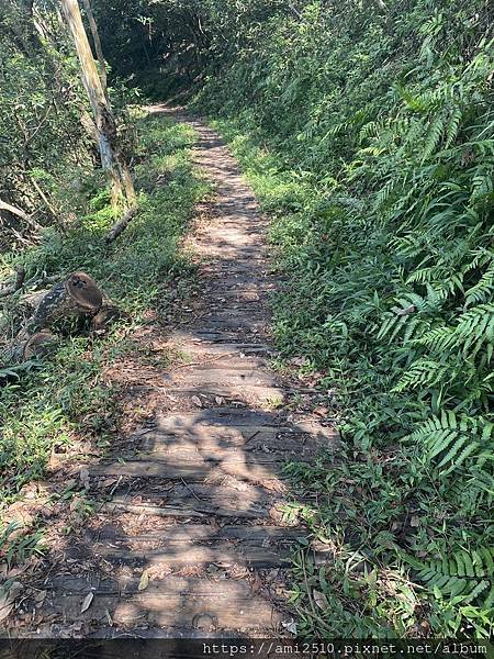 【遊】宜蘭冬山步道《茅埔城古道》健康生活◆新進初階者多階梯步