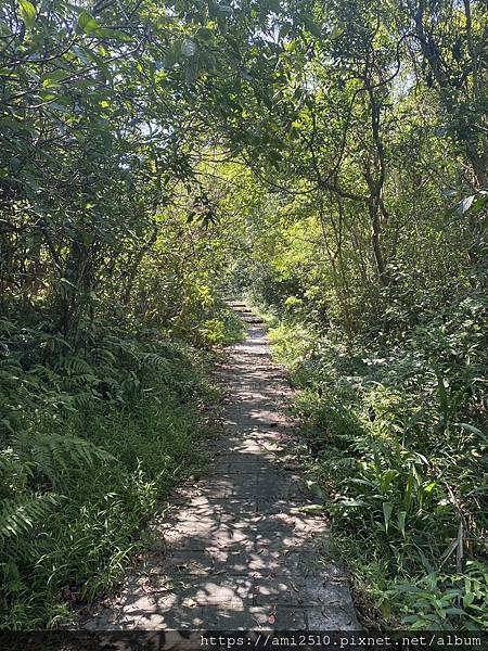 【遊】宜蘭冬山步道《茅埔城古道》健康生活◆新進初階者多階梯步