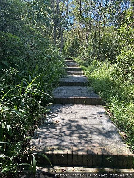 【遊】宜蘭冬山步道《茅埔城古道》健康生活◆新進初階者多階梯步