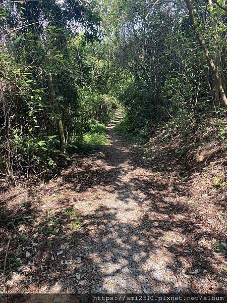 【遊】宜蘭冬山步道《茅埔城古道》健康生活◆新進初階者多階梯步