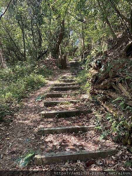 【遊】宜蘭冬山步道《茅埔城古道》健康生活◆新進初階者多階梯步