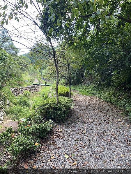 【遊】宜蘭三星步道《腦寮坑古步道》大隱腦寮坑生生態教育園區◆