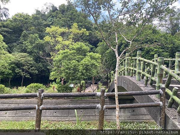 【遊】宜蘭三星步道《腦寮坑古步道》大隱腦寮坑生生態教育園區◆