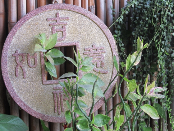 IMG_8658過日子 IMG_8658過日子