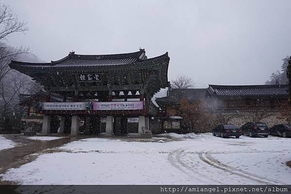 _DSC8614.JPG _DSC8614.JPG