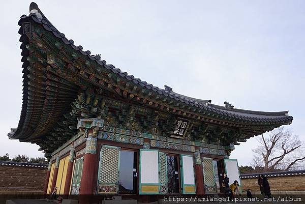 S__18333748.jpg S__18333748.jpg