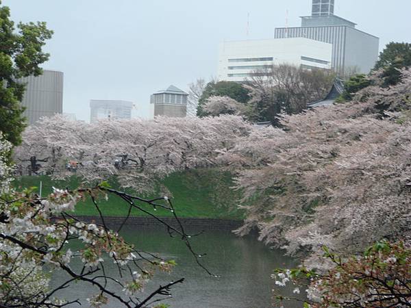 千鳥淵