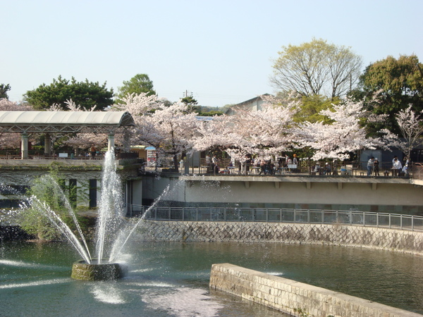 京都市動物園