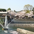 京都市動物園