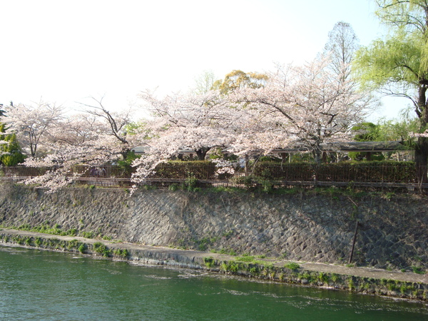 京都市動物園