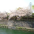 京都市動物園