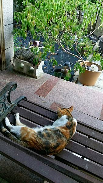 20161009_3822_meitu_1.jpg 20161009_3822_meitu_1.jpg