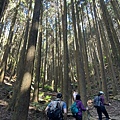 LINE_ALBUM_今年第一登~長壽山_220423_3.jpg