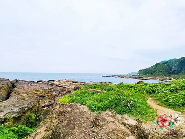 瑞芳景點@水湳洞礁岩區 大野狼與小綿羊岩/大頭狗岩 熱門打卡