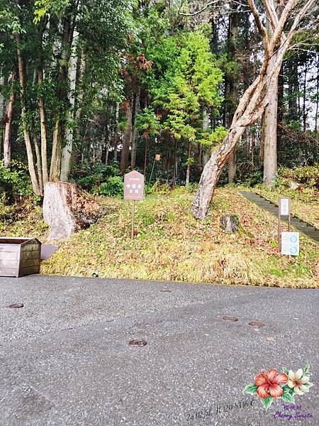 中尊寺&金色堂@千年歷史遺產 閃耀金色光芒金色堂 收藏寶物3