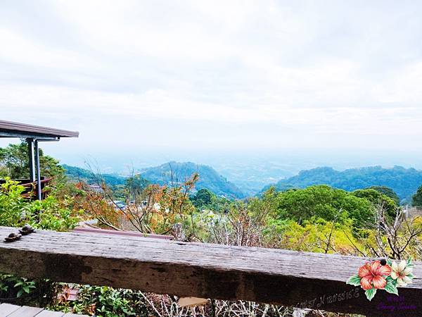 鐘鼎山林景觀咖啡廳@暖活老薑蒸足浴 愜意放空欣賞山間景色